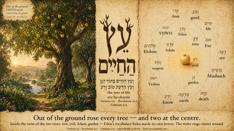 The Tree of Life — Genesis 2:9 / Revelation 22:2