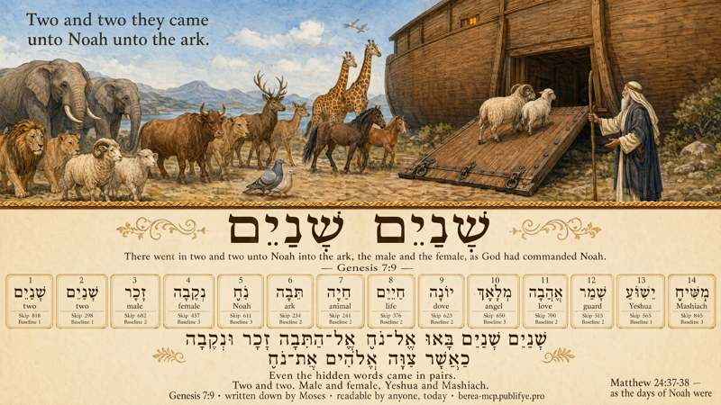 Two by Two — Genesis 7:9