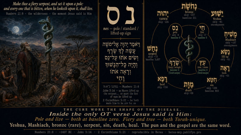 The Bronze Serpent — Numbers 21:8 / John 3:14
